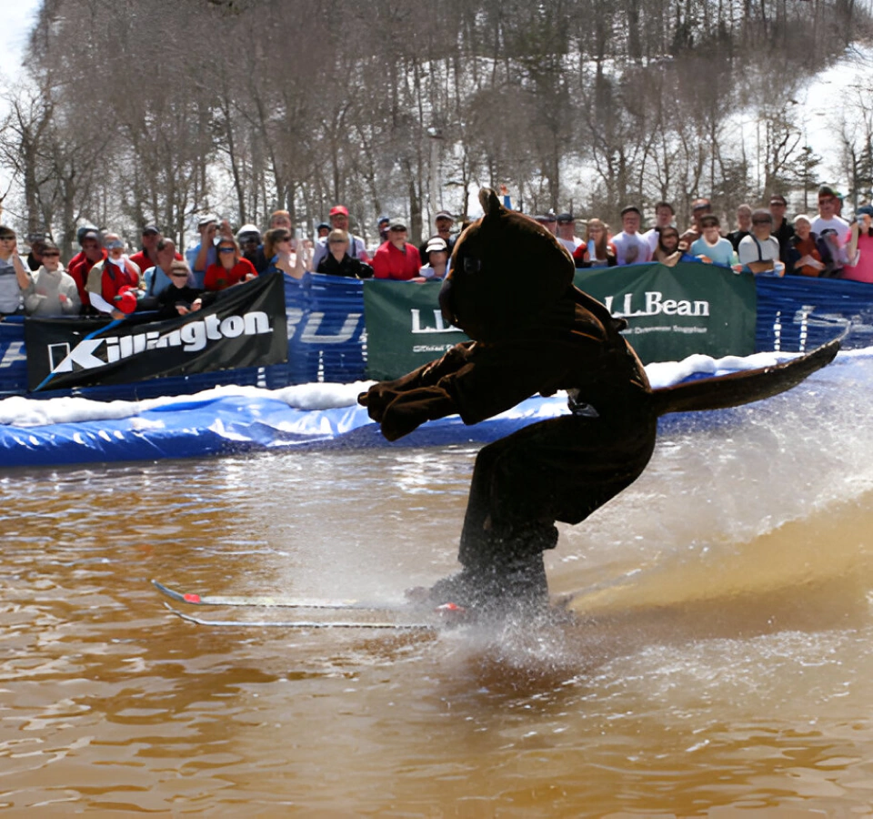 a beaver mascot doing a water sport